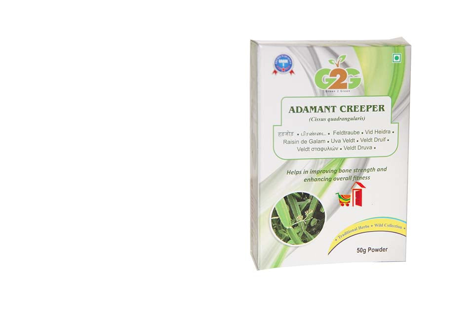 G2G Adamant Creeper powder 50gm / Cissus Quadrangularis/ Pirandai