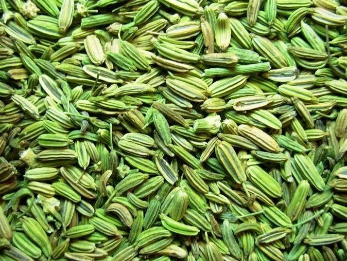 FENNEL SEEDS -100G