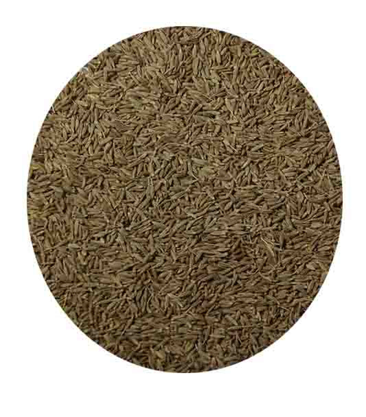 Cumin Seed 200 GM