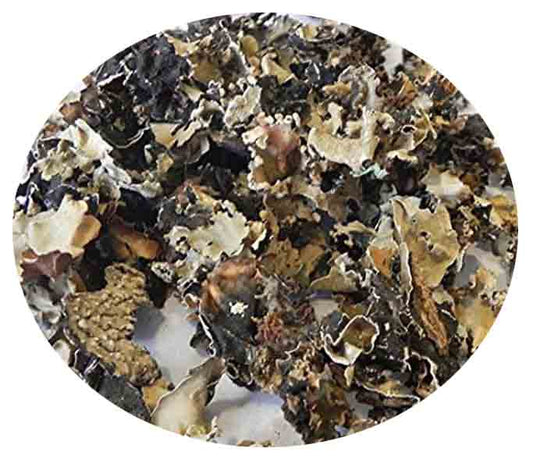 Dagad Phool / Kalpasi / Stone flower 100gm